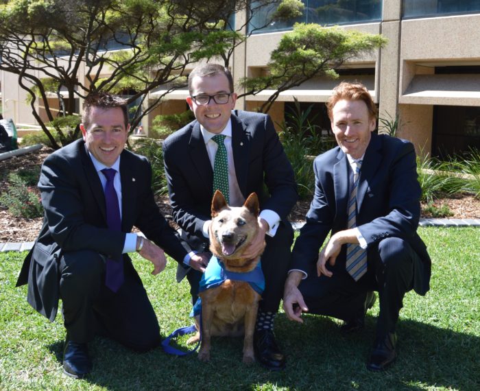 $14,998 FOR INVERELL RESPONSIBLE PET OWNERSHIP PROGRAM