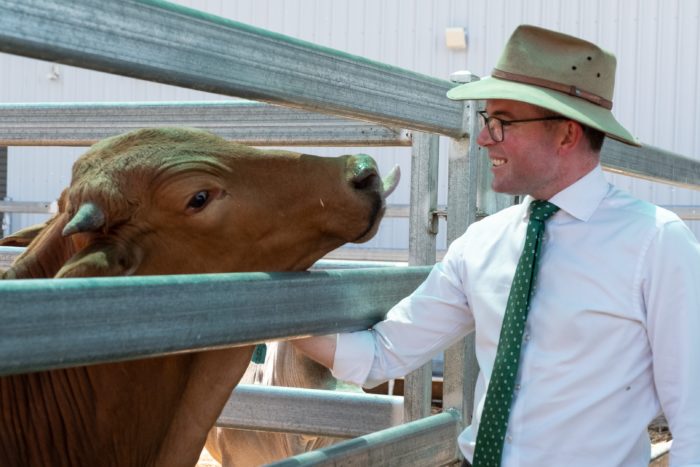 $7.3 MILLION TO DEVELOP A ‘UNIVERSAL LANGUAGE’ FOR BULL BREEDERS